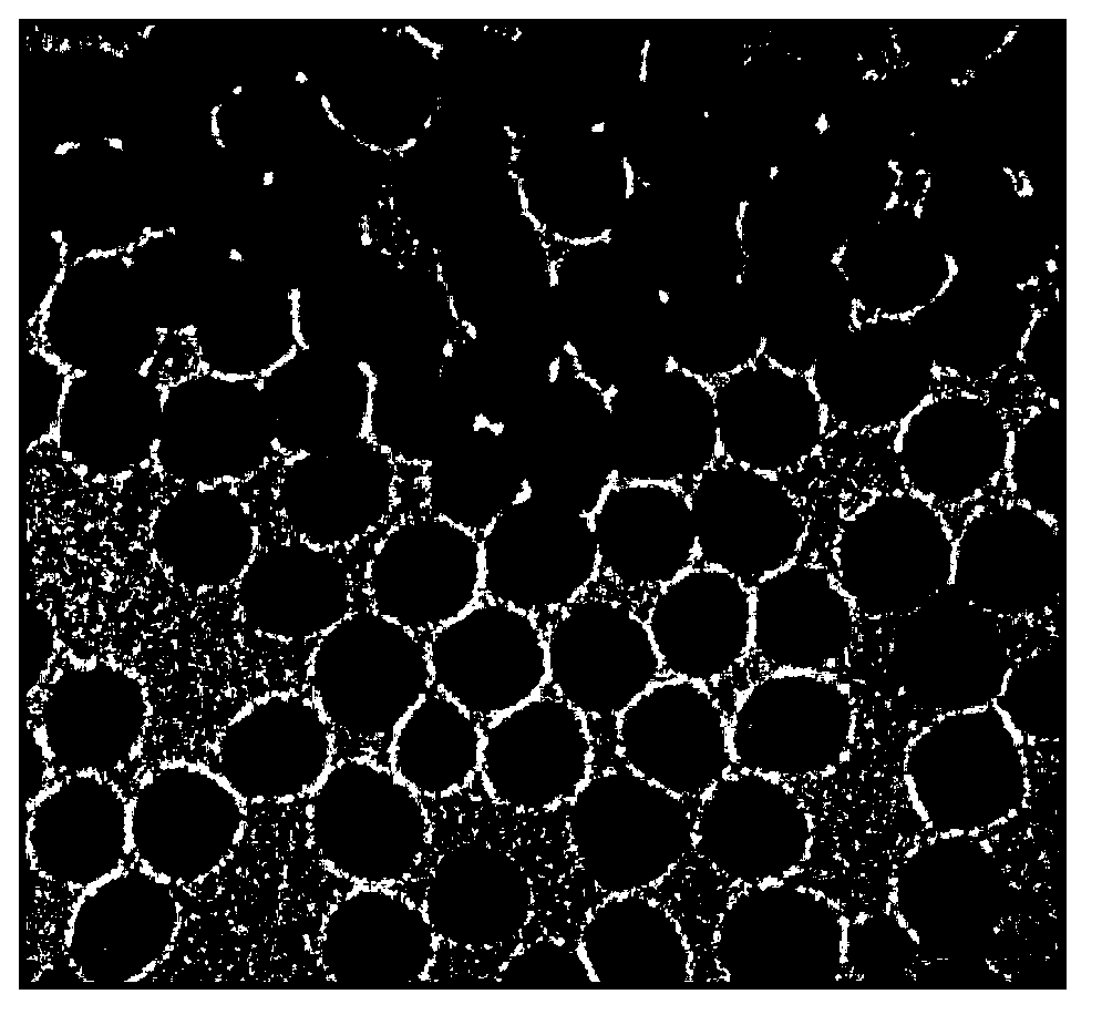 Core-shell-structure photomagnetic double-function nano composite material and preparation method thereof