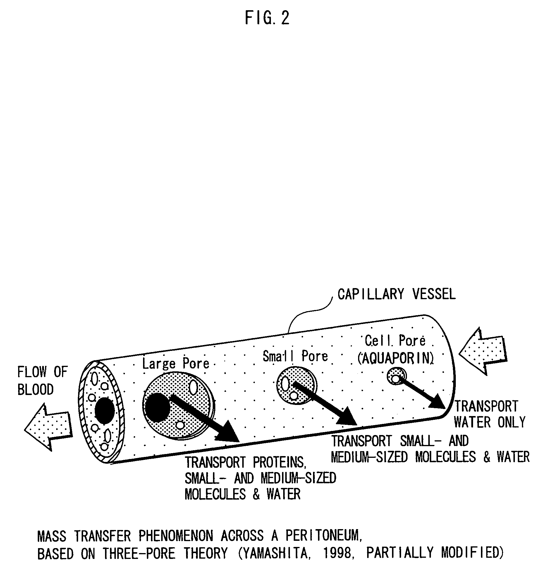 Method for testing peritoneum function and a peritoneal dialysis planning apparatus