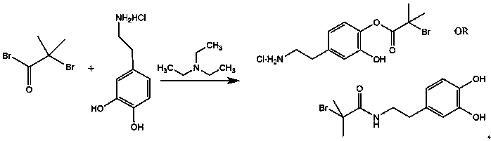 Preparation method for antibacterial and anti-pollution polymer separation membrane based on surface grafting