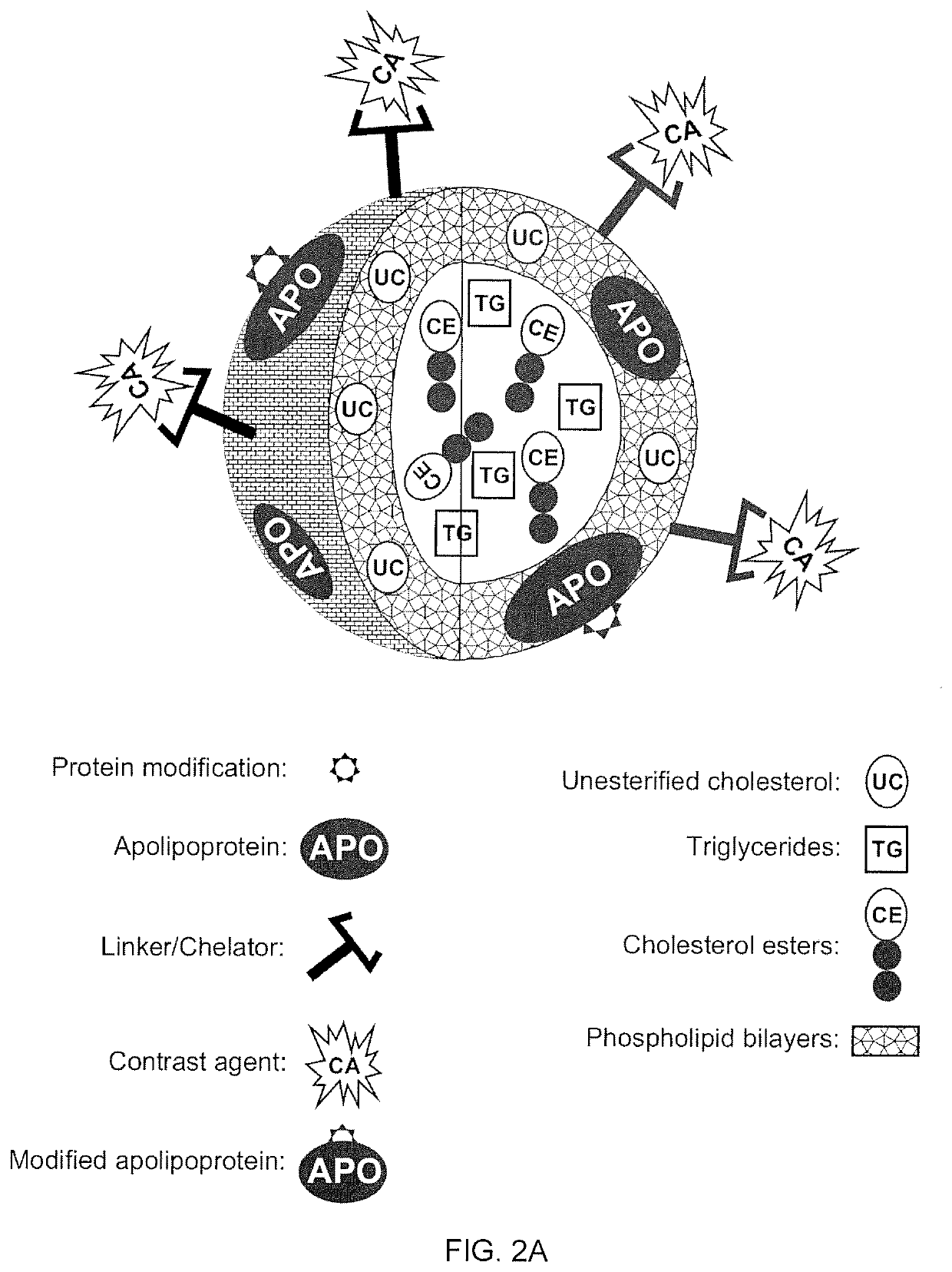 Methods And Compositions For Targeted Imaging