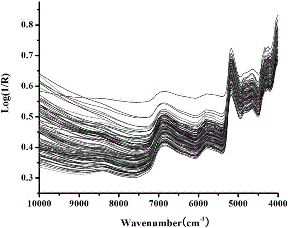 Method for rapidly determining L-borneol content in balsamiferou blumea herb powder by near infrared spectroscopy