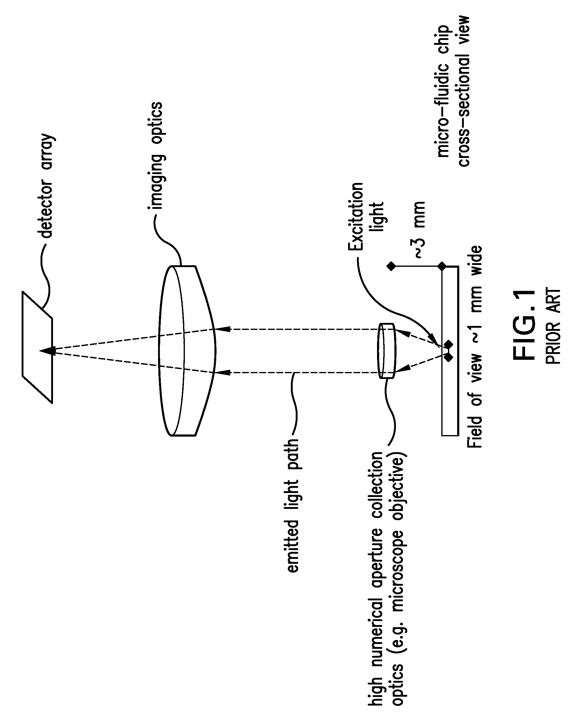 Systems and methods for monitoring the amplification of DNA