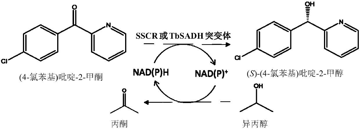 Method for synthesizing chiral bisaryl alcohol compound