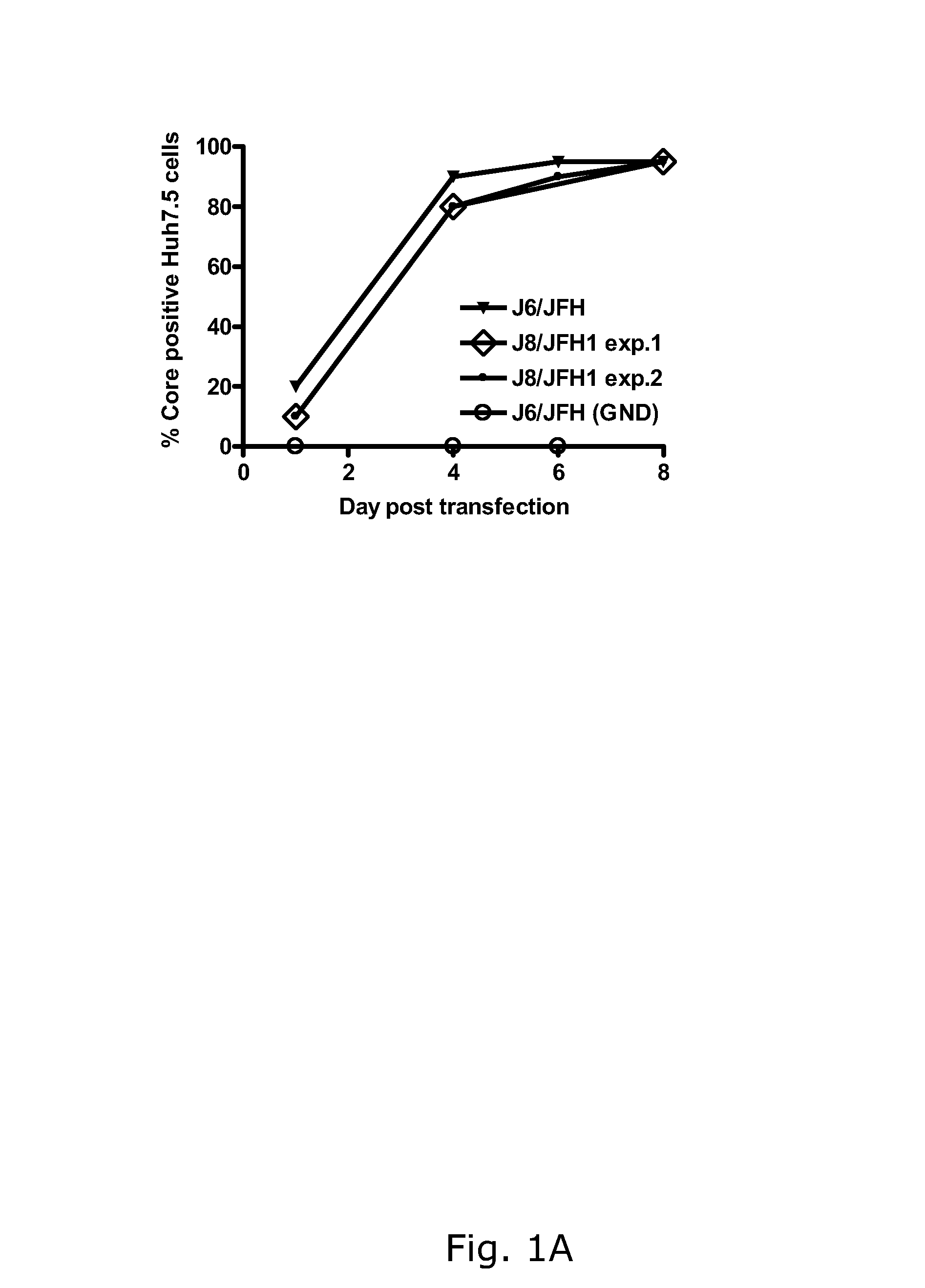 Efficient cell culture system for hepatitis C virus genotype 2B