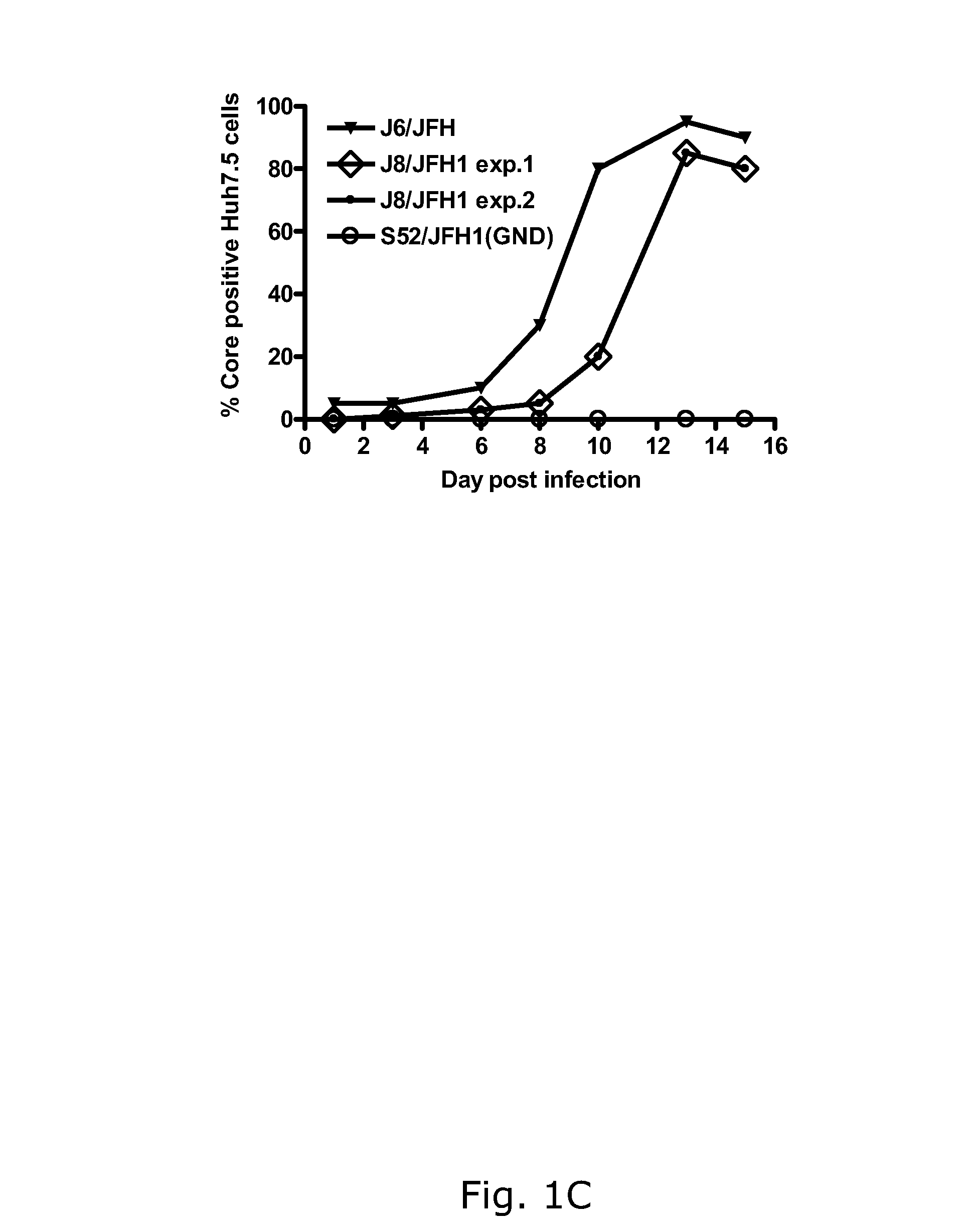 Efficient cell culture system for hepatitis C virus genotype 2B