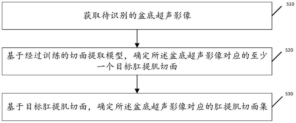 Obtaining method of pelvic floor levator ani sections, storage medium and terminal equipment