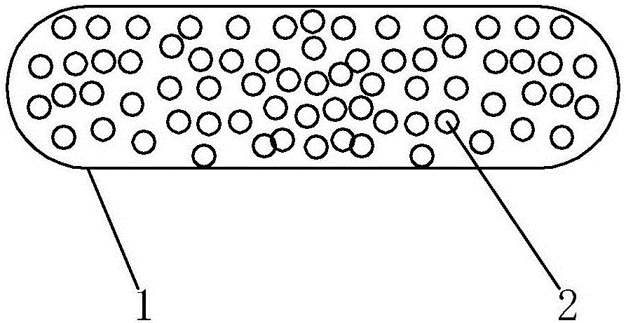 Nutrient medium special for urban domestic sludge greening and treating method thereof