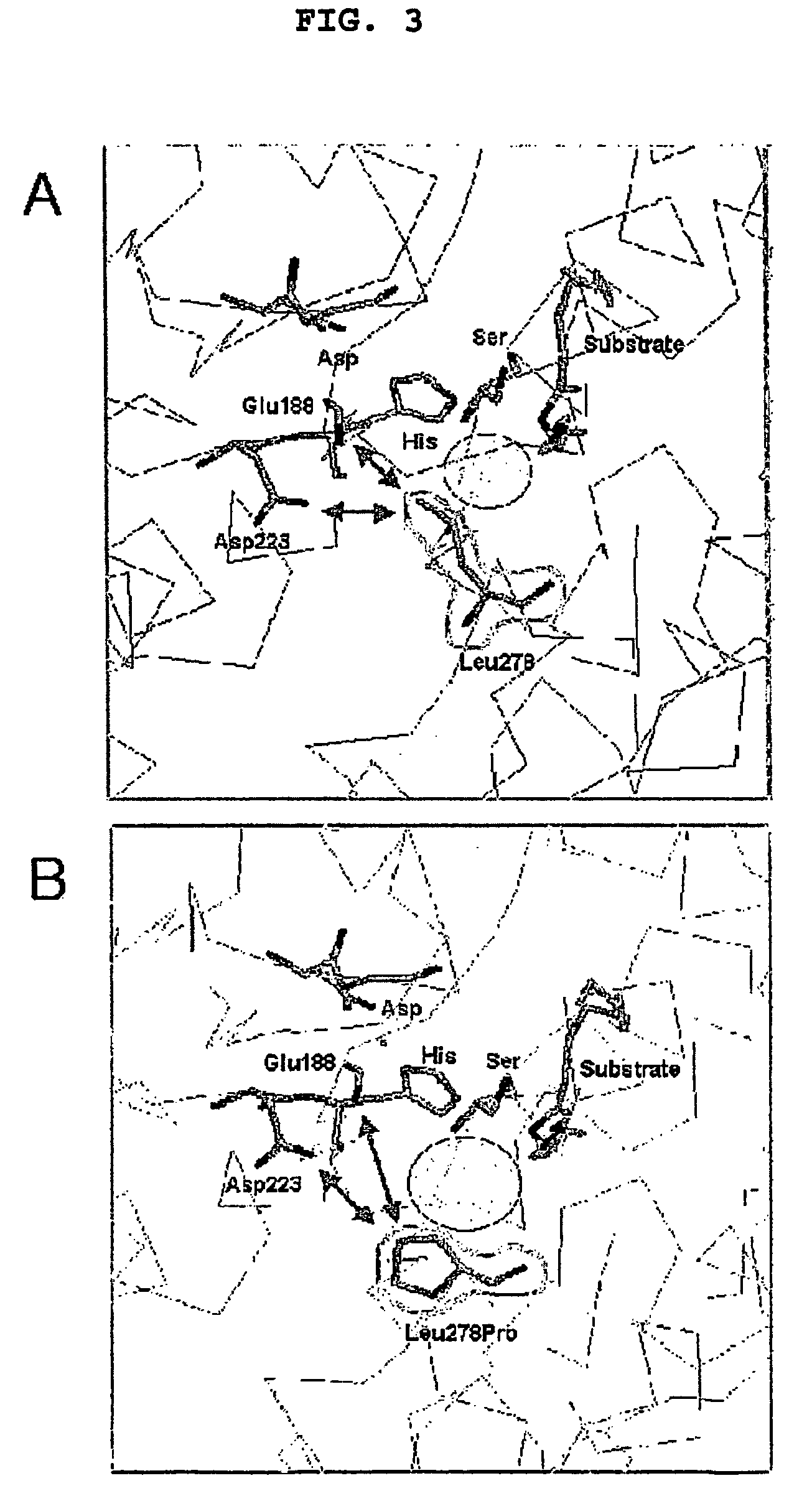 Method for screening of a lipase having improved enzymatic activity using yeast surface display vector and the lipase