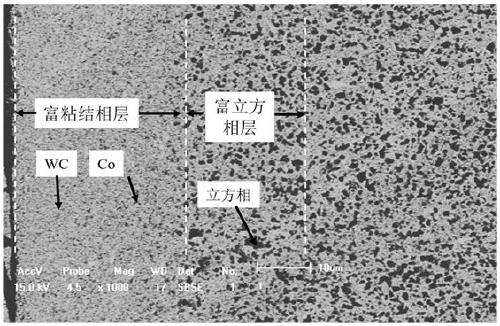 Ultrafine crystal gradient hard alloy with double-gradient-layer structure on surface as well as preparation method thereof