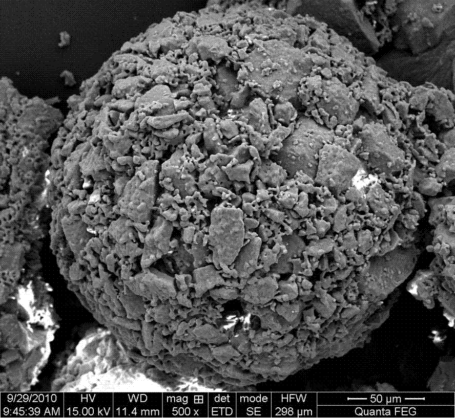 Method for induced culture of aerobic granular sludge by utilizing porous hydroxyapatite bio-carrier