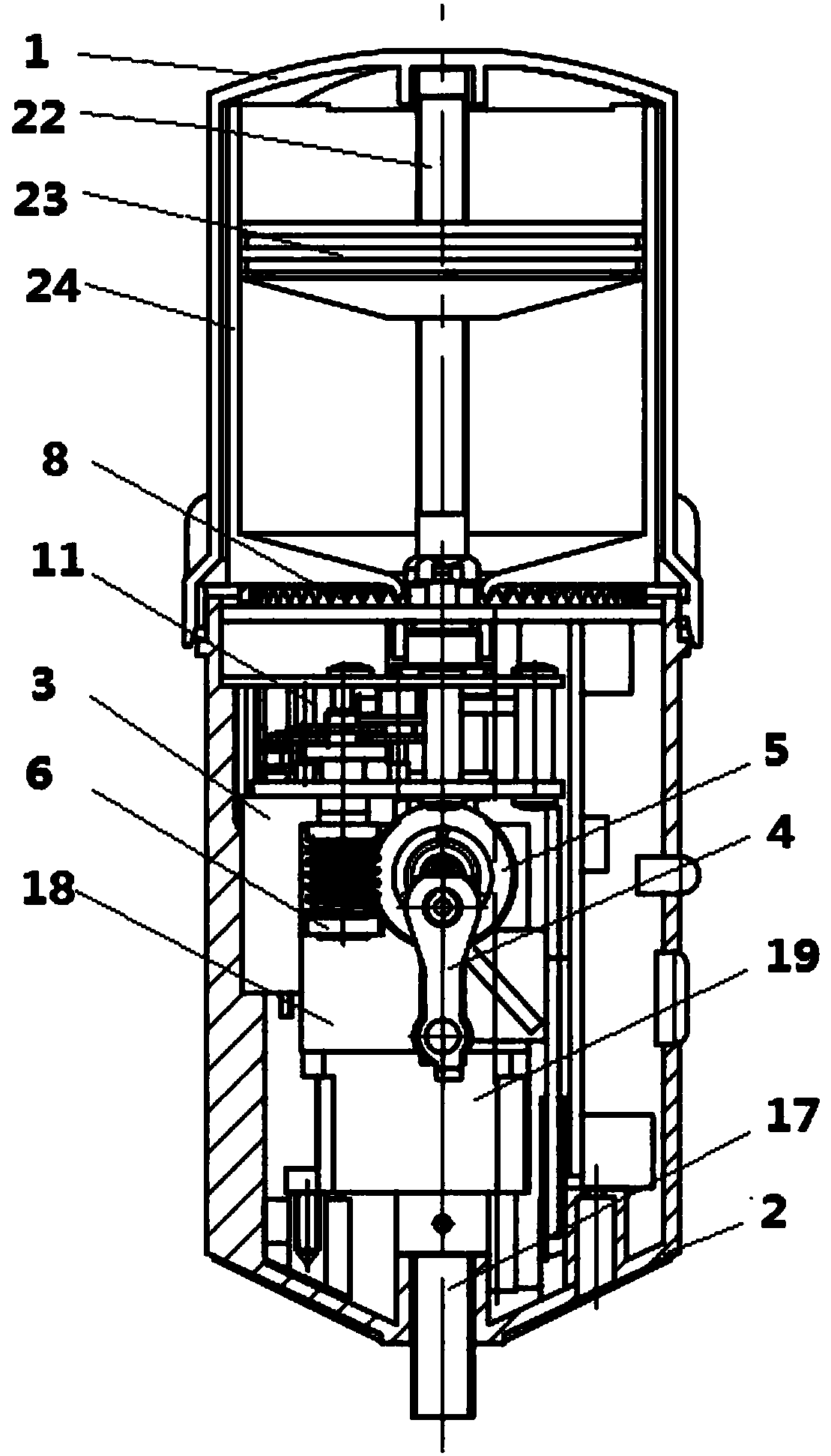 Plunger type grease injection device