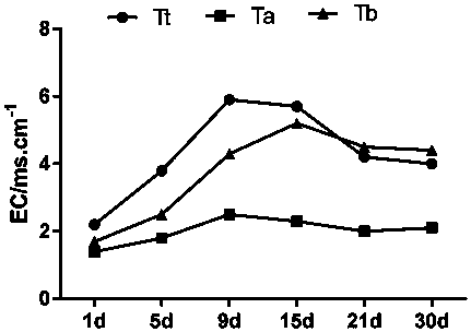 Bag type rapid fermentation method