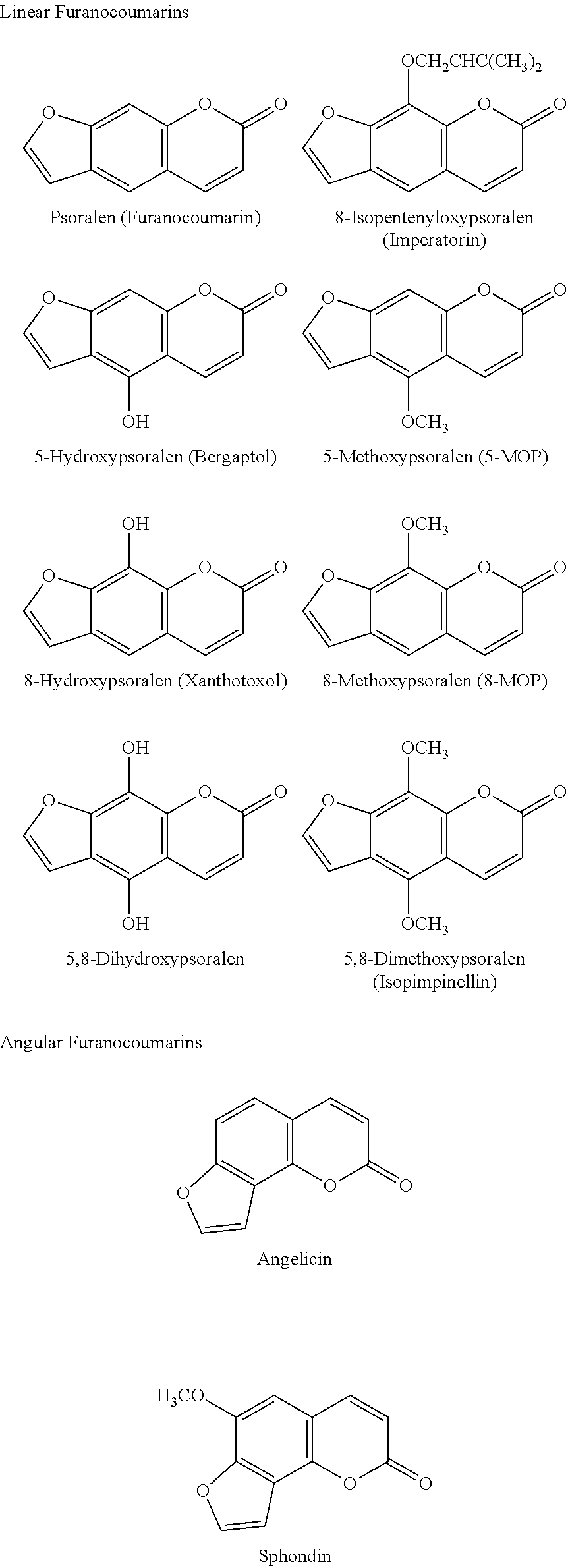 Isothiocyanate functional surfactant and associated method of use