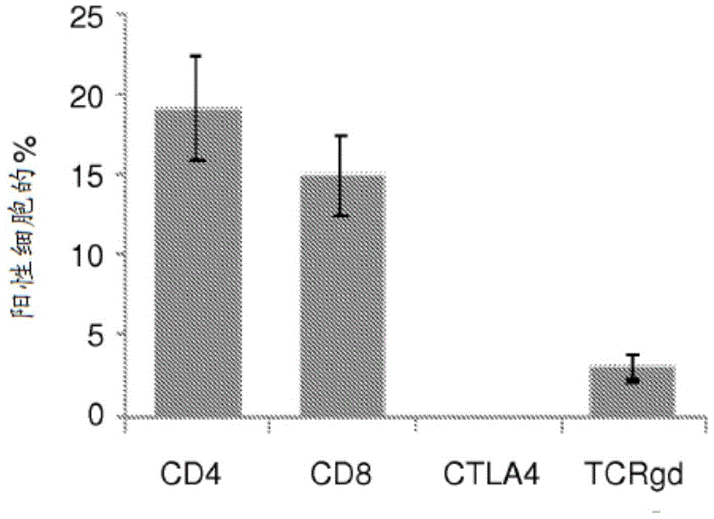 Cellular markers for the diagnosis of Alzheimer's disease and for the progression of Alzheimer's disease