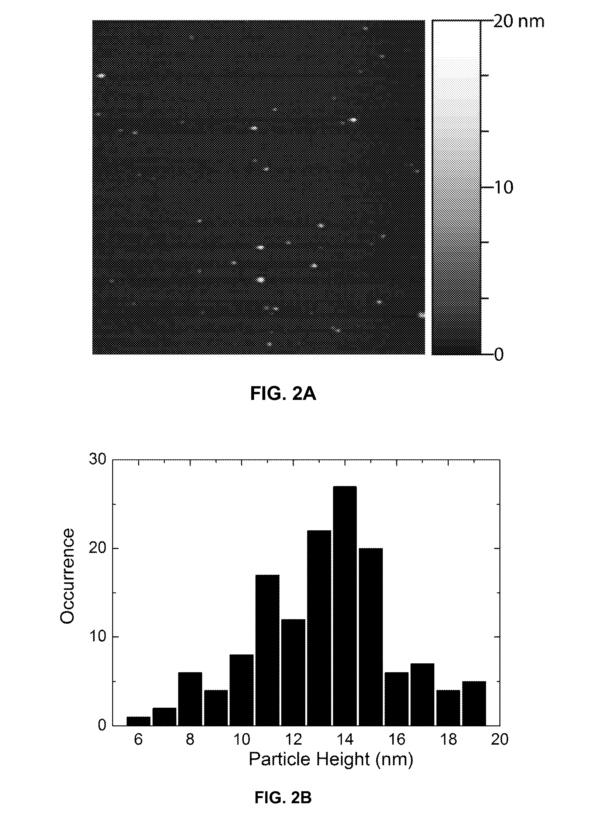 Functionalized chromophoric polymer dots and bioconjugates thereof