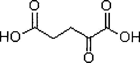 Alpha-ketoglutaric acid high yield bacterium, screening method thereof and production of alpha-ketoglutaric acid from the same by fermentation method