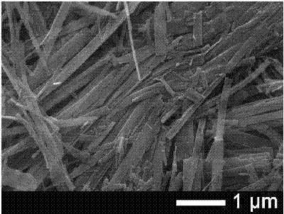 Quantum dot sensitized solar cell and preparation method thereof