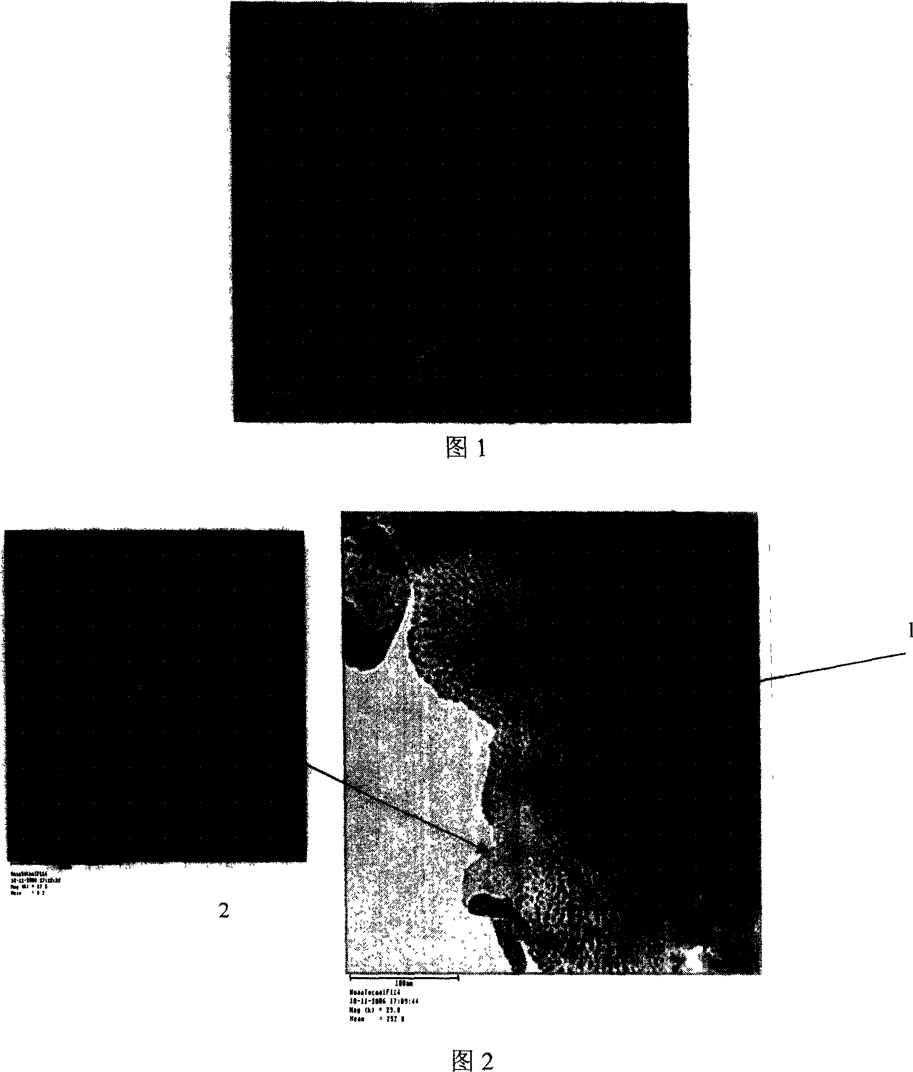 Method for precipitating large area amorphous, nanocrystalline alloy layer using magnesium alloy surface glow plasma