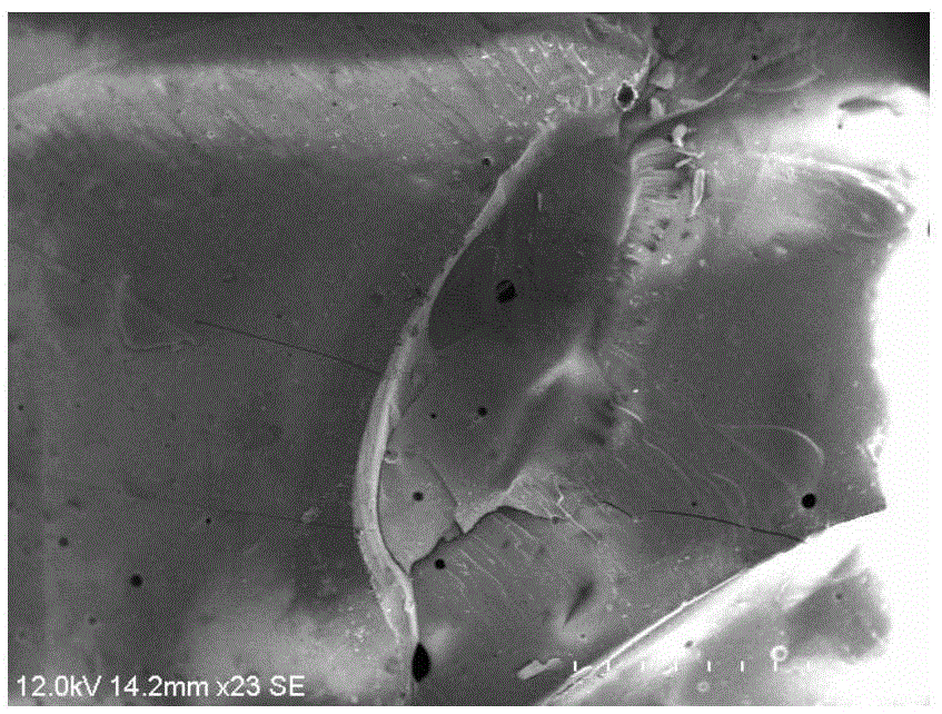 Silver alloy and method for preparing high-temperature transparent enamel decorating silver jewelry by using silver alloy