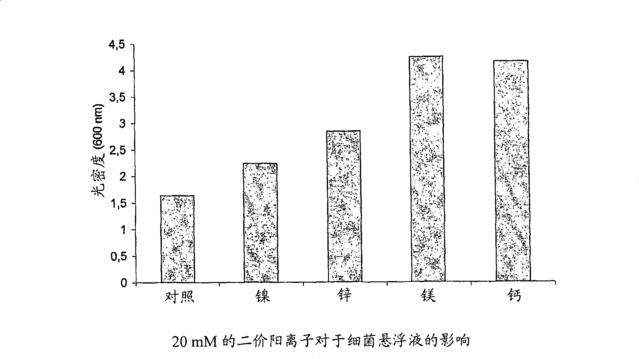 Immobilisation of bacteria to a geological material