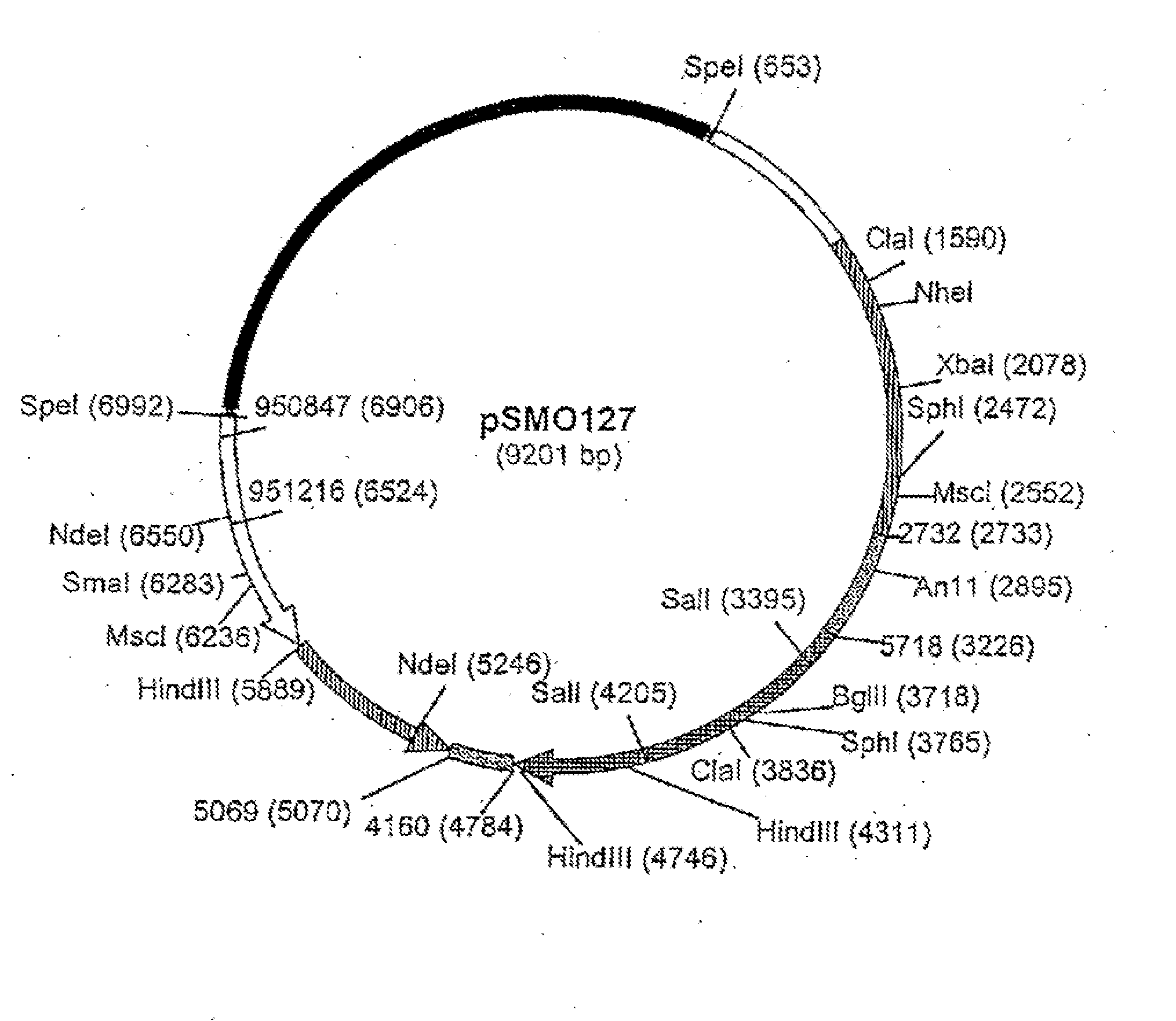 Methods for producing biological substances in enzyme-deficient mutants of aspergillus niger