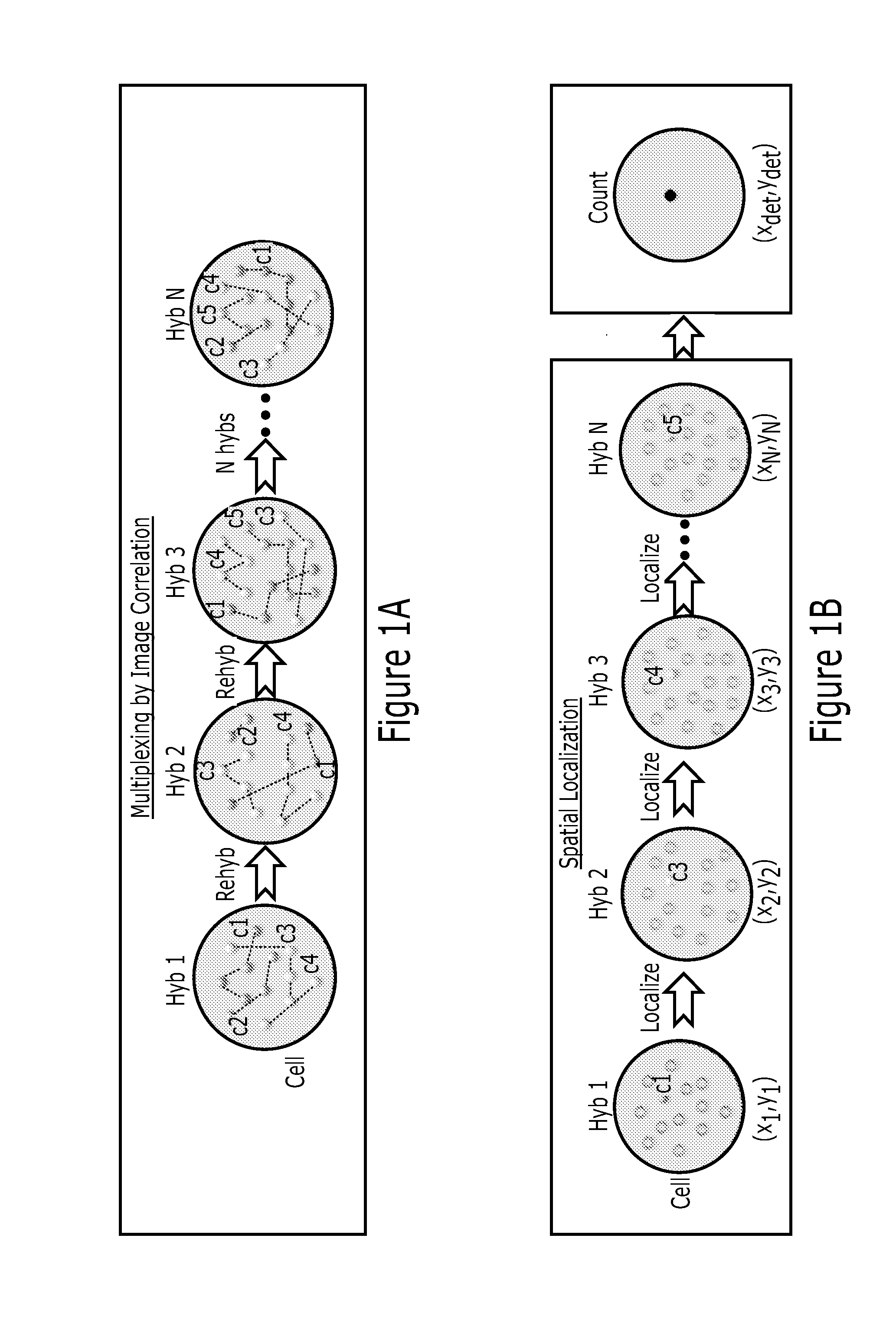 Multiplex analysis of molecules in single cells by image correlation