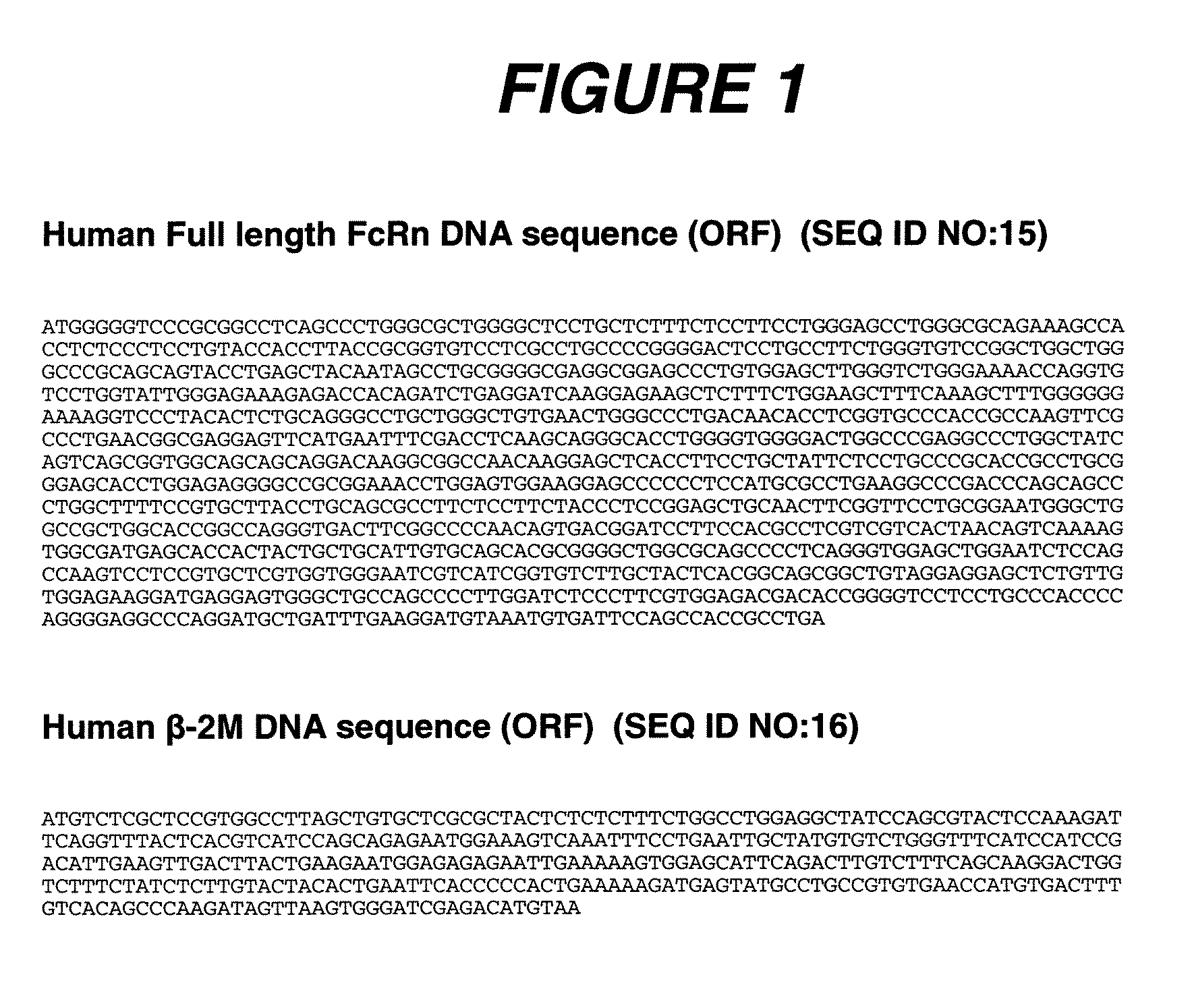 Peptides that block the binding of IgG to FcRn