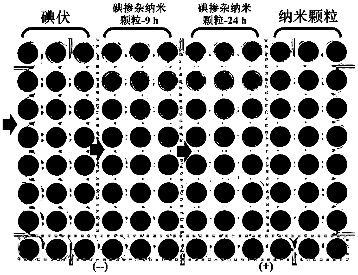 Macromolecular micro-particle and preparation and application thereof