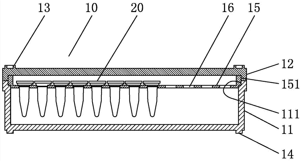 Dendrobium officinale seed preservation device and method