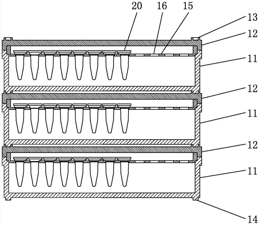 Dendrobium officinale seed preservation device and method