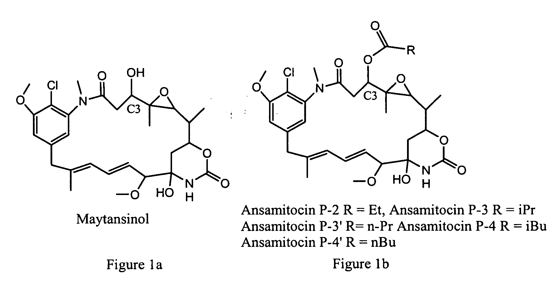 Process for preparation of maytansinol