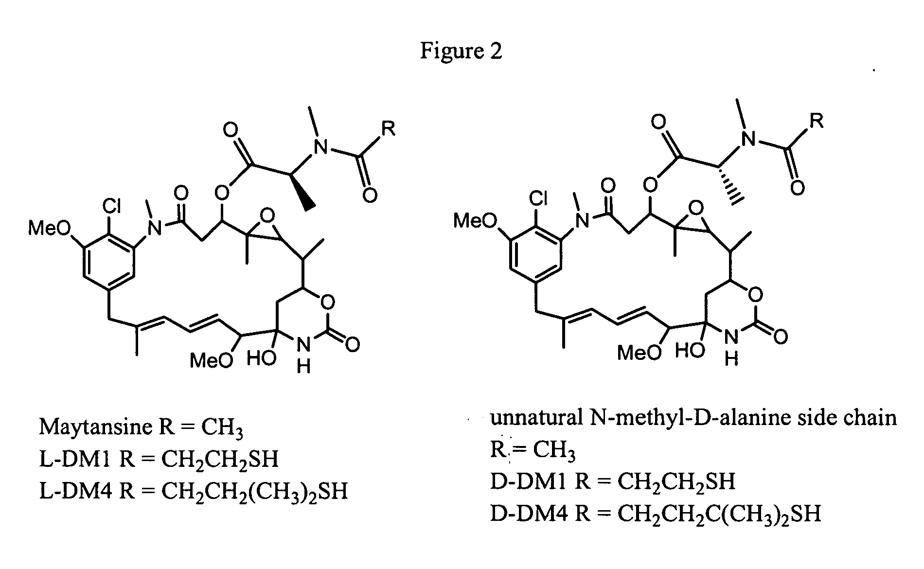 Process for preparation of maytansinol