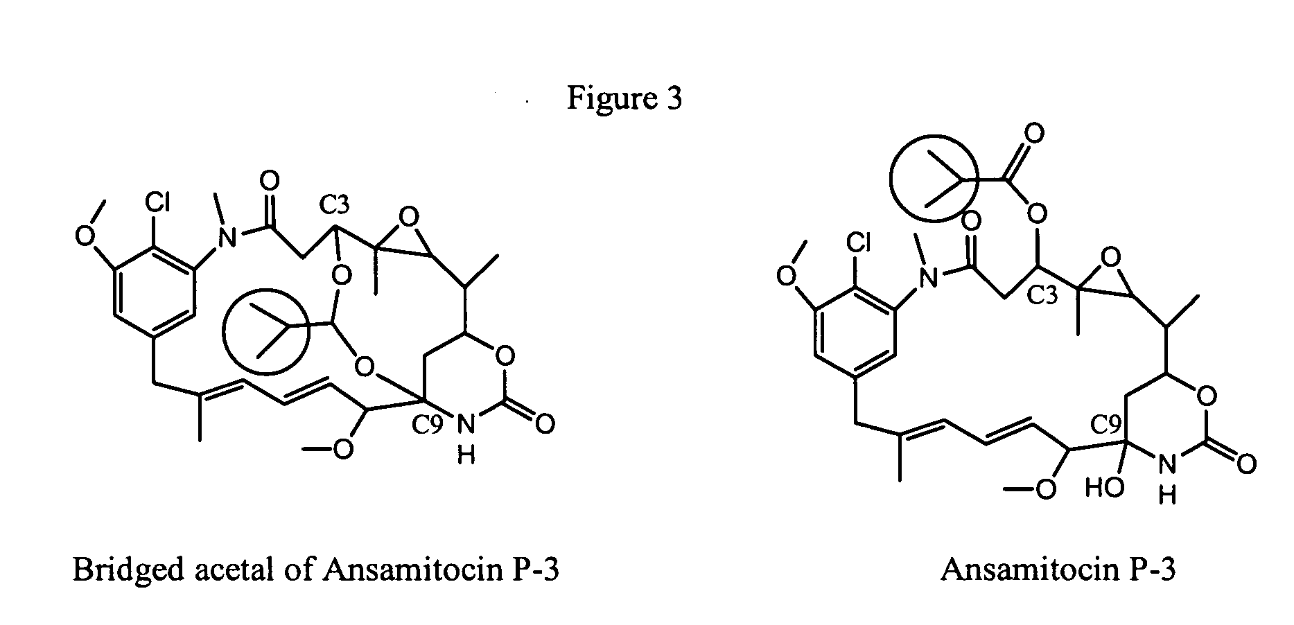 Process for preparation of maytansinol