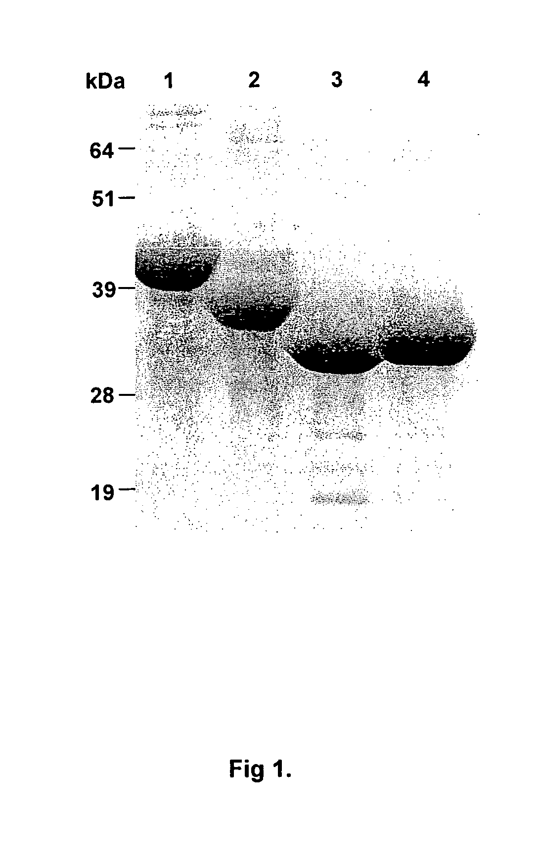 Prevention, treatment and diagnosis of <i>P. gingivalis </i>infection