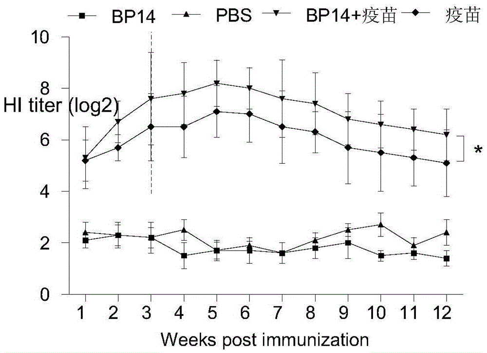 A kind of livestock and poultry immune enhancer bursa polypeptide