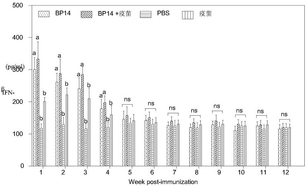 A kind of livestock and poultry immune enhancer bursa polypeptide