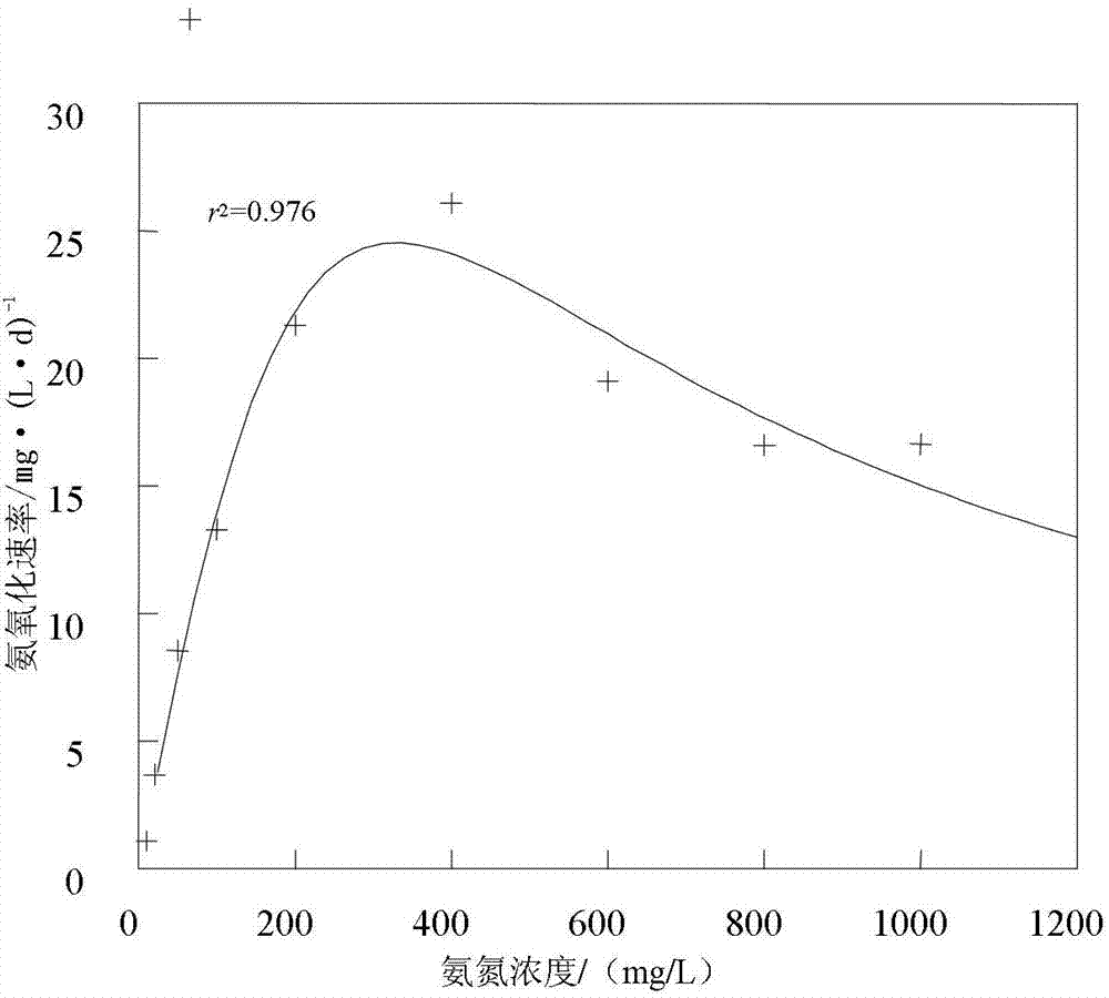 Ammonia oxidizing bacteria and application thereof