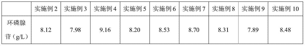 Fermentation medium, bacterial strain and production method for fermentation production of adenosine cyclophosphate