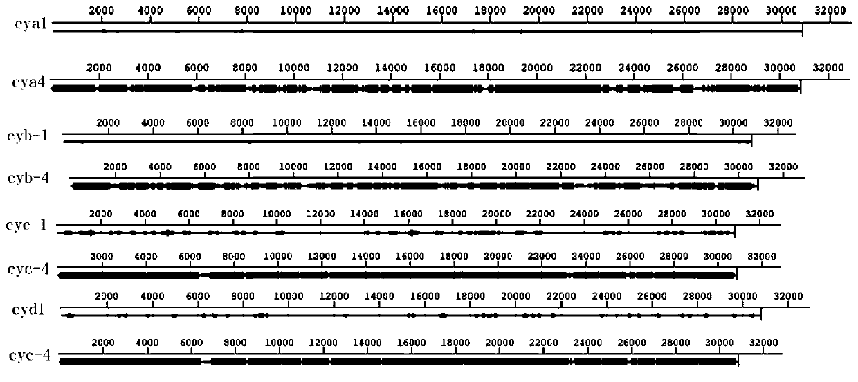 Detection method for respiratory tract viruses