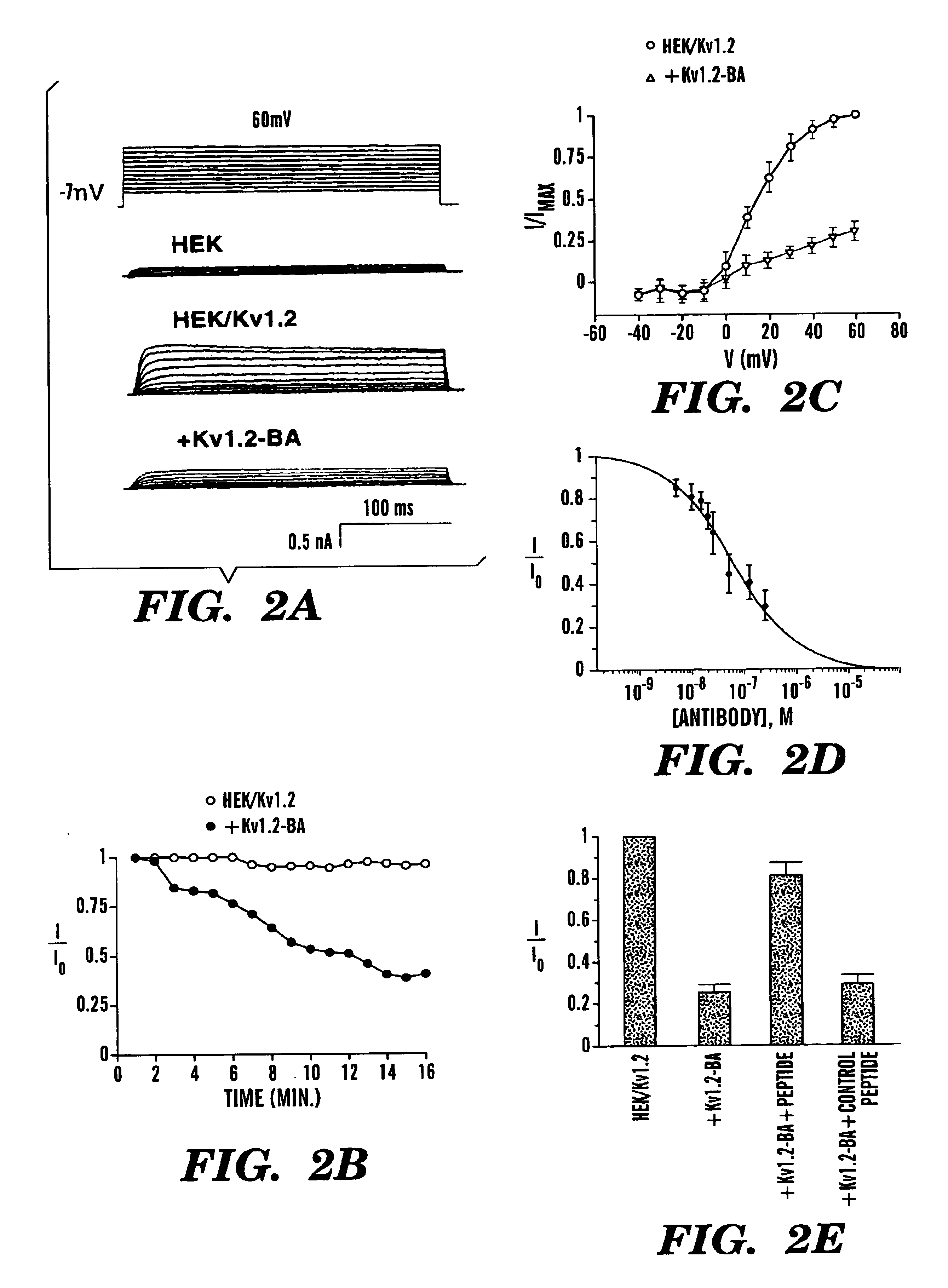 Methods for designing specific ion channel blockers