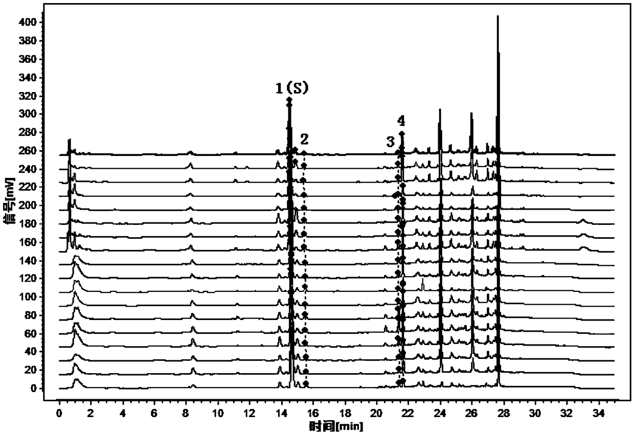 UPLC characteristic map construction method and detection method of ginger medicine