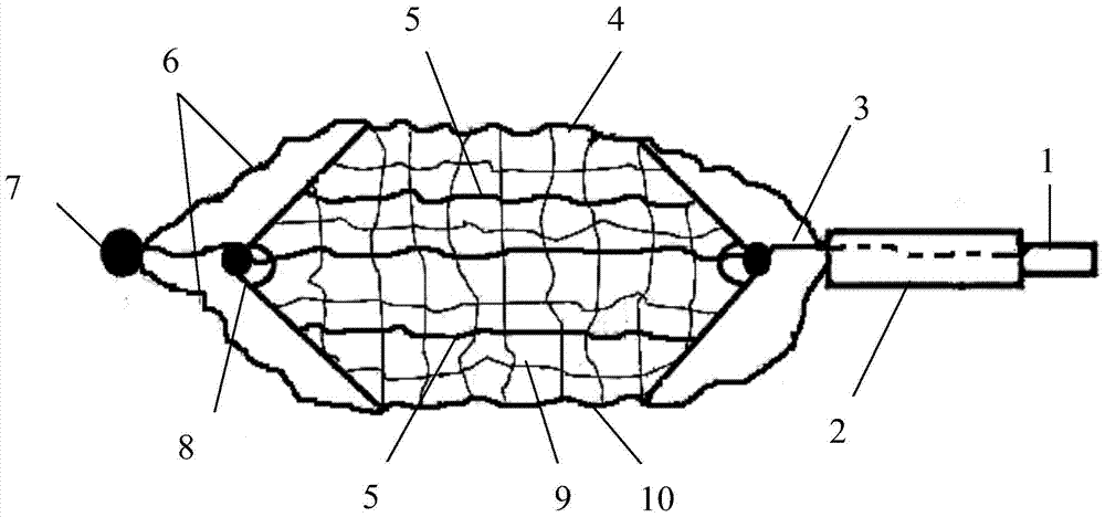 Portable multifunctional lifeline